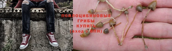 кокс Алзамай