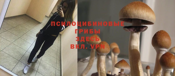 MESCALINE Абаза