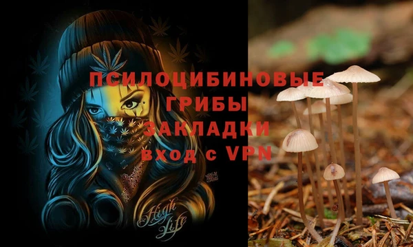 прущие крисы Абинск