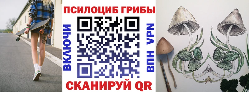 магазин Дмитровск blacksprut как зайти Галлюциногенные грибы Psilocybine cubensis